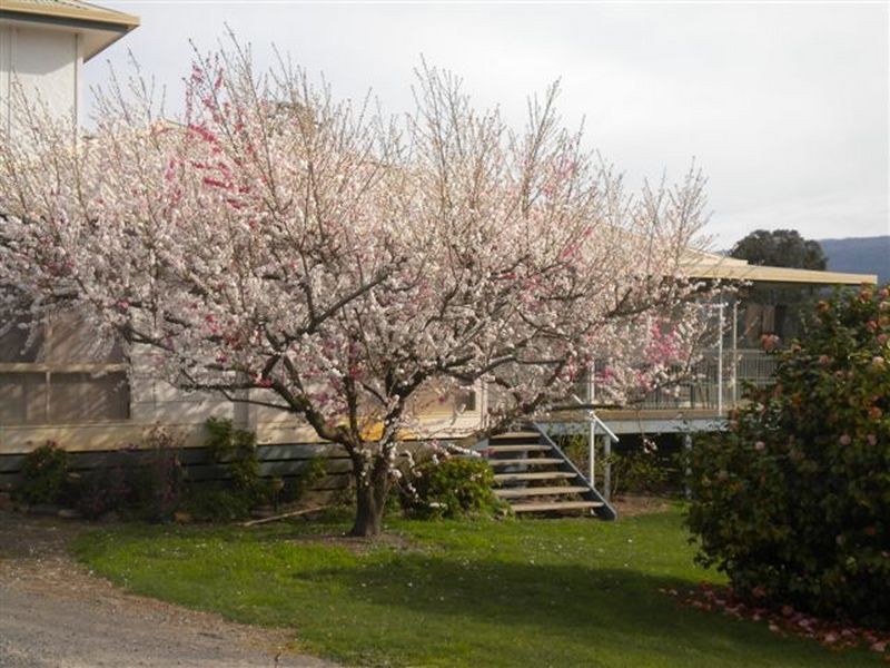 42 South Cathedral Lane, Buxton VIC 3711