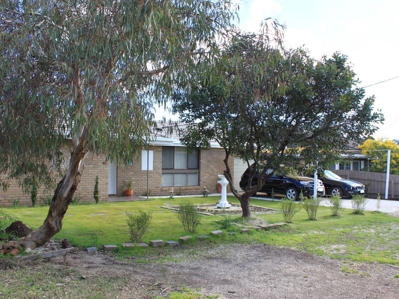42 Albert Street, Alexandra VIC 3714