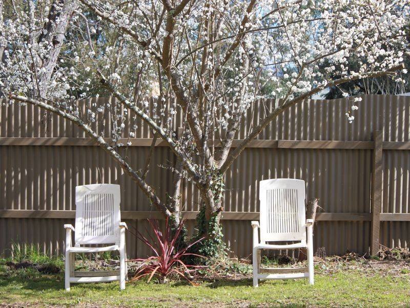 42 Albert Street, Alexandra VIC 3714