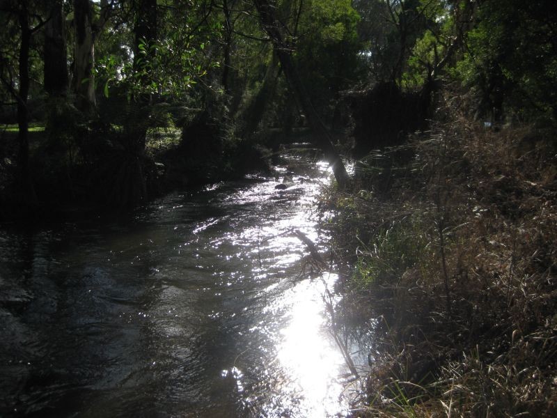 12 Aroona Drive, Buxton VIC 3711