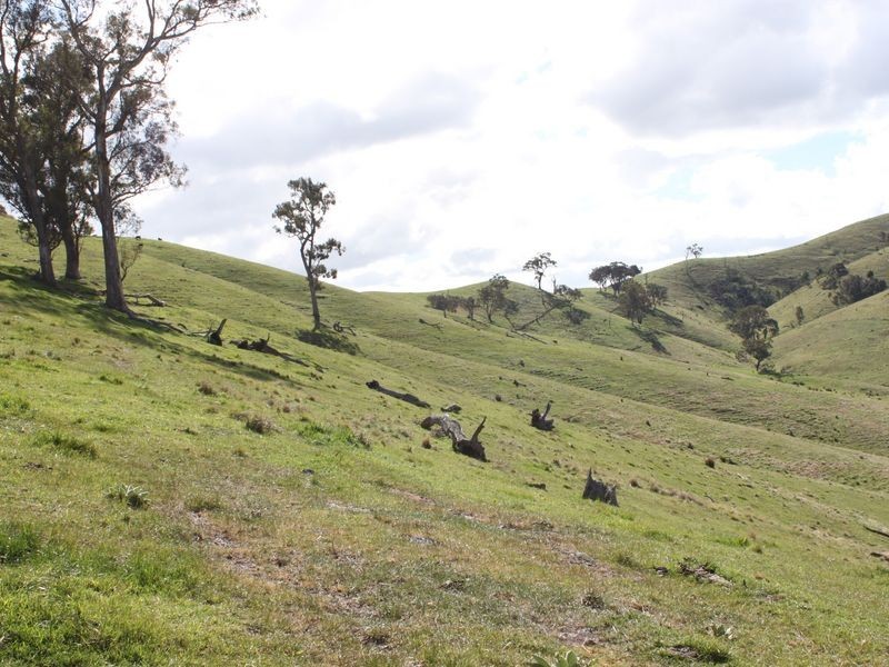 62A/65 Back Johnsons Creek Road, Alexandra VIC 3714