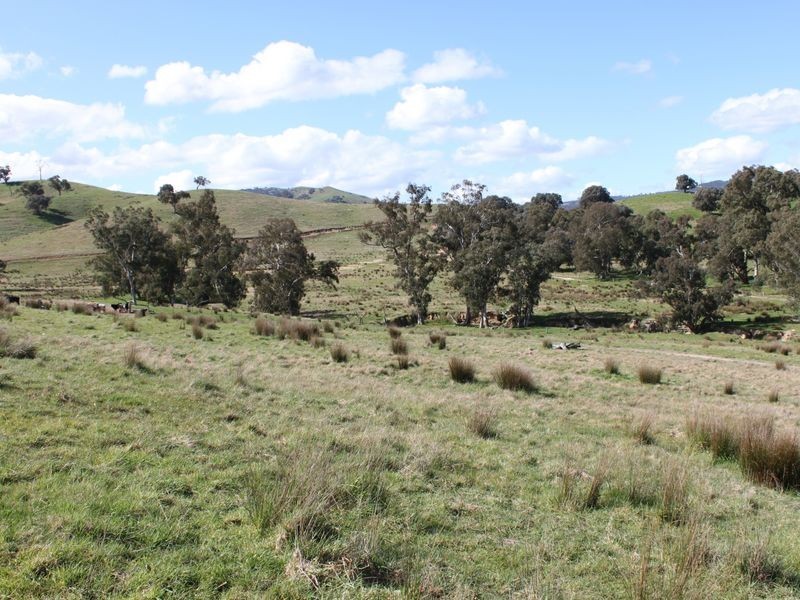 62A/65 Back Johnsons Creek Road, Alexandra VIC 3714