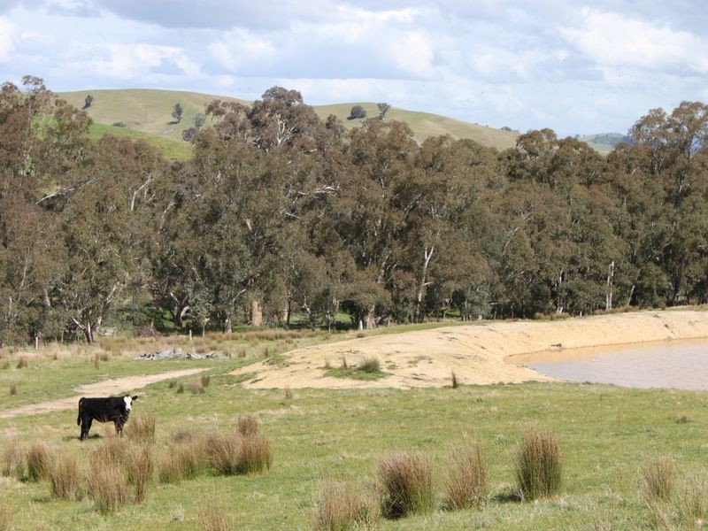 62A/65 Back Johnsons Creek Road, Alexandra VIC 3714