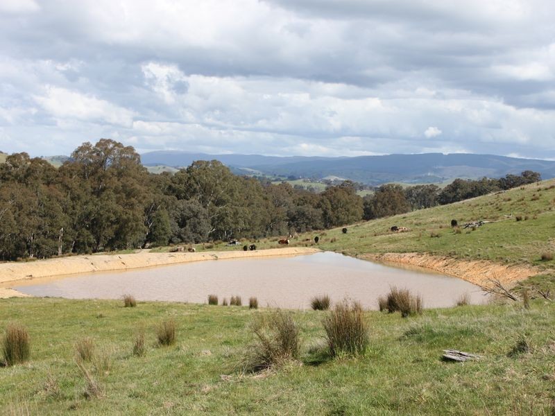 62A/65 Back Johnsons Creek Road, Alexandra VIC 3714