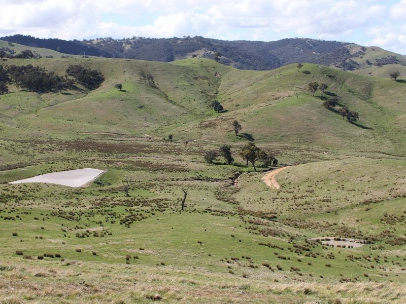 62A/65 Back Johnsons Creek Road, Alexandra VIC 3714