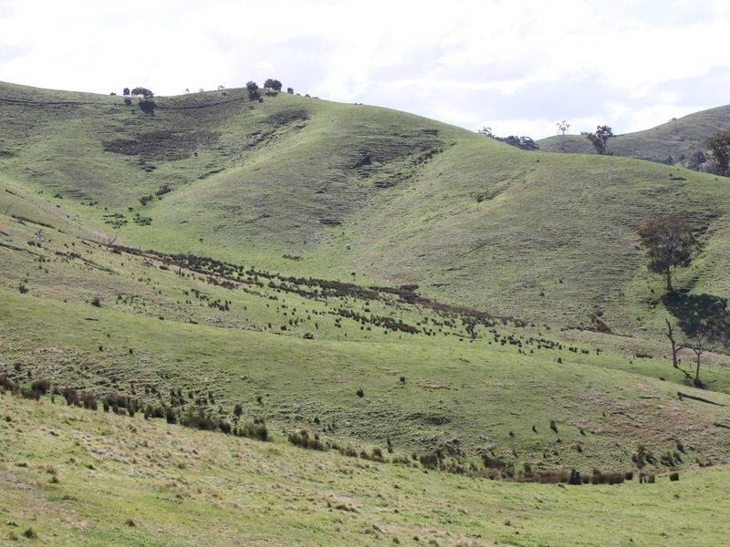 62A/65 Back Johnsons Creek Road, Alexandra VIC 3714