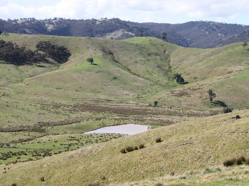 62A/65 Back Johnsons Creek Road, Alexandra VIC 3714