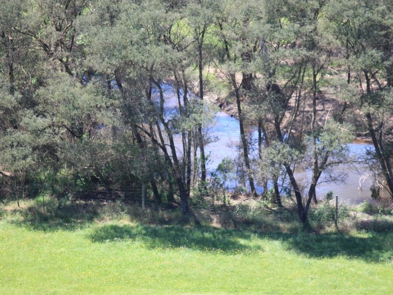 2561 Maroondah Highway, Buxton VIC 3711