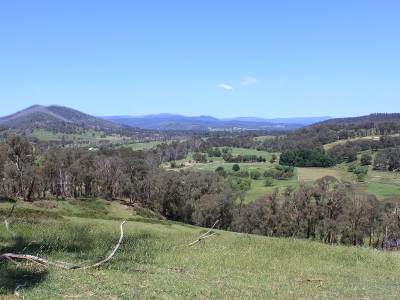 2561 Maroondah Highway, Buxton VIC 3711