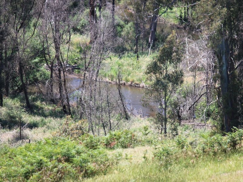 2561 Maroondah Highway, Buxton VIC 3711