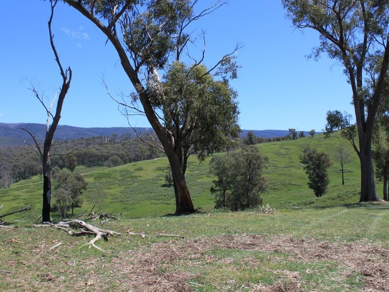 2561 Maroondah Highway, Buxton VIC 3711