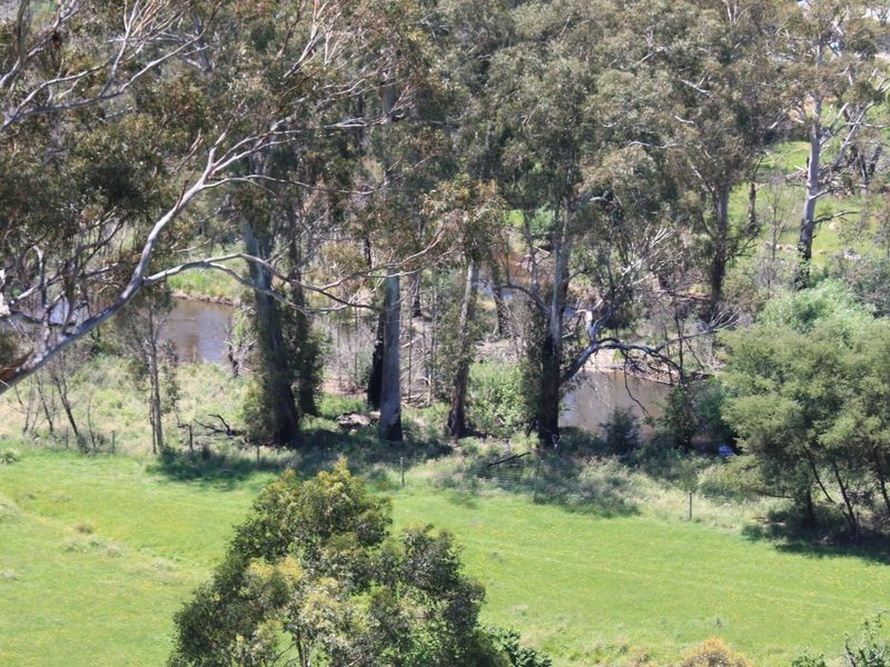 2561 Maroondah Highway, Buxton VIC 3711