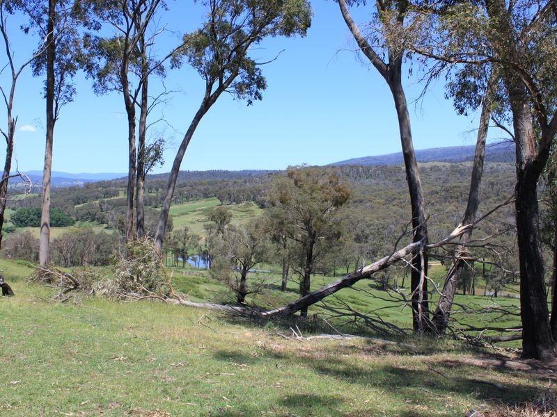 2561 Maroondah Highway, Buxton VIC 3711