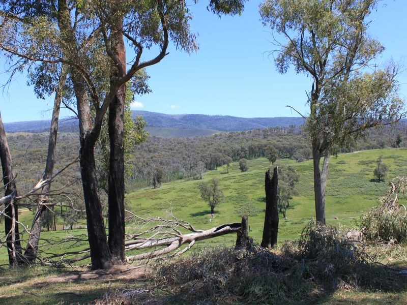 2561 Maroondah Highway, Buxton VIC 3711