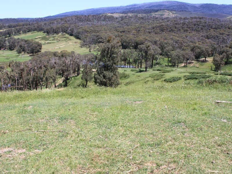 2561 Maroondah Highway, Buxton VIC 3711