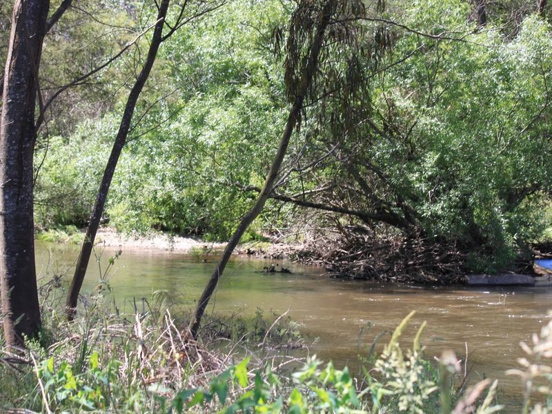 2561 Maroondah Highway, Buxton VIC 3711