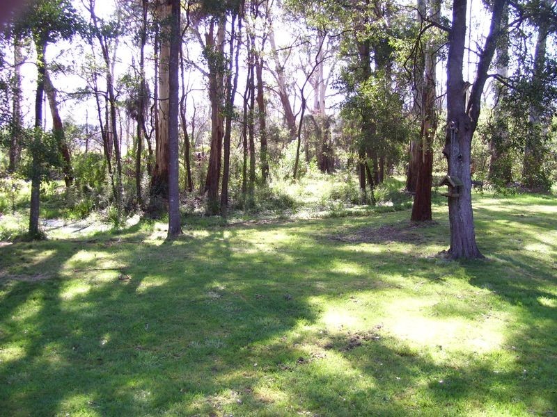 8 Ballina Court, Buxton VIC 3711