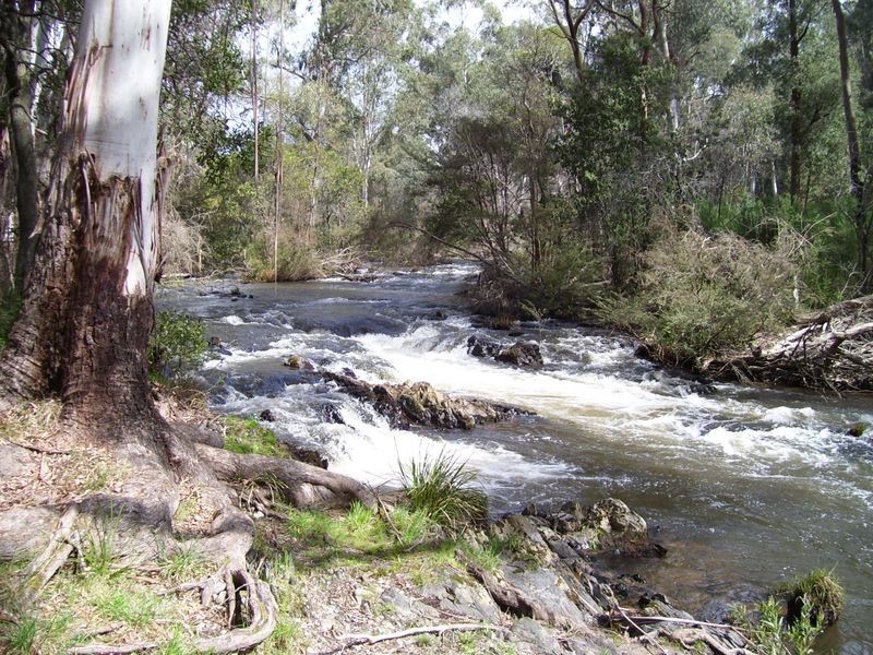 8 Ballina Court, Buxton VIC 3711
