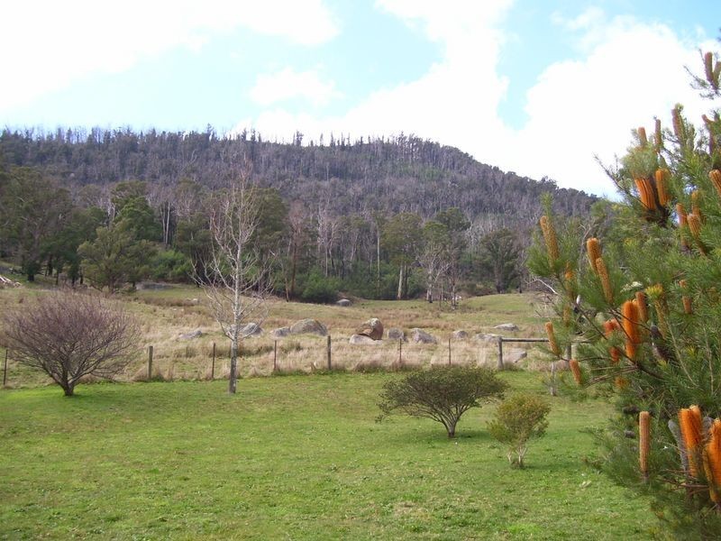 171 Buxton-Marysville Road, Buxton VIC 3711