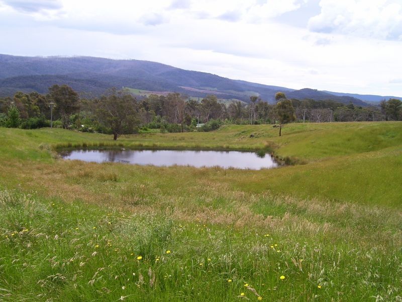 171 Buxton-Marysville Road, Buxton VIC 3711