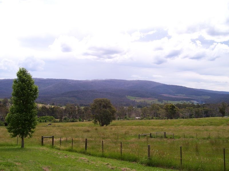 171 Buxton-Marysville Road, Buxton VIC 3711