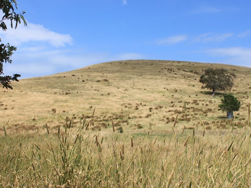 20 Brooks Cutting Road – Vacant Land, Alexandra VIC 3714