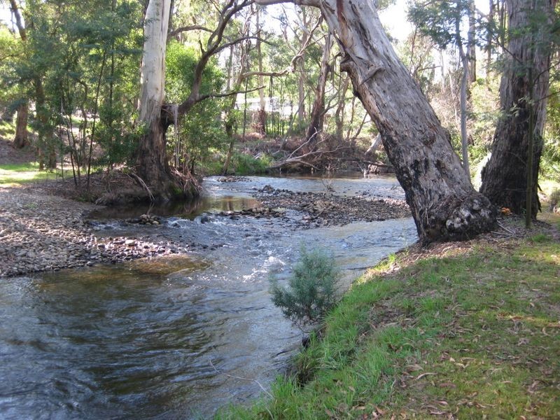 20 Mareeba Avenue, Buxton VIC 3711