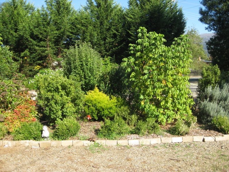 20 Mareeba Avenue, Buxton VIC 3711