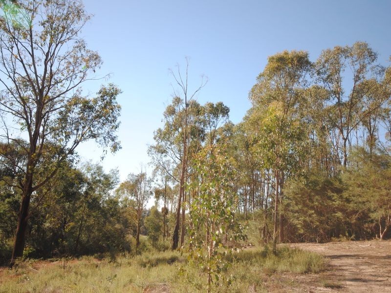 86 Range Road, Yarck VIC 3719