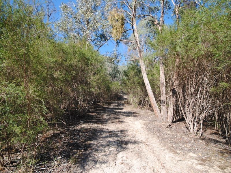 86 Range Road, Yarck VIC 3719