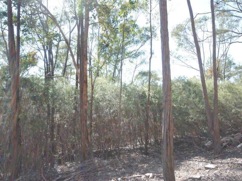 86 Range Road, Yarck VIC 3719