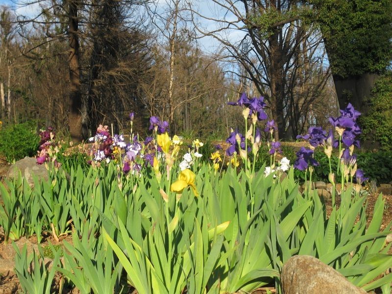 45-47 Lyell Street, Marysville VIC 3779