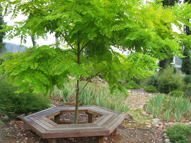 45-47 Lyell Street, Marysville VIC 3779