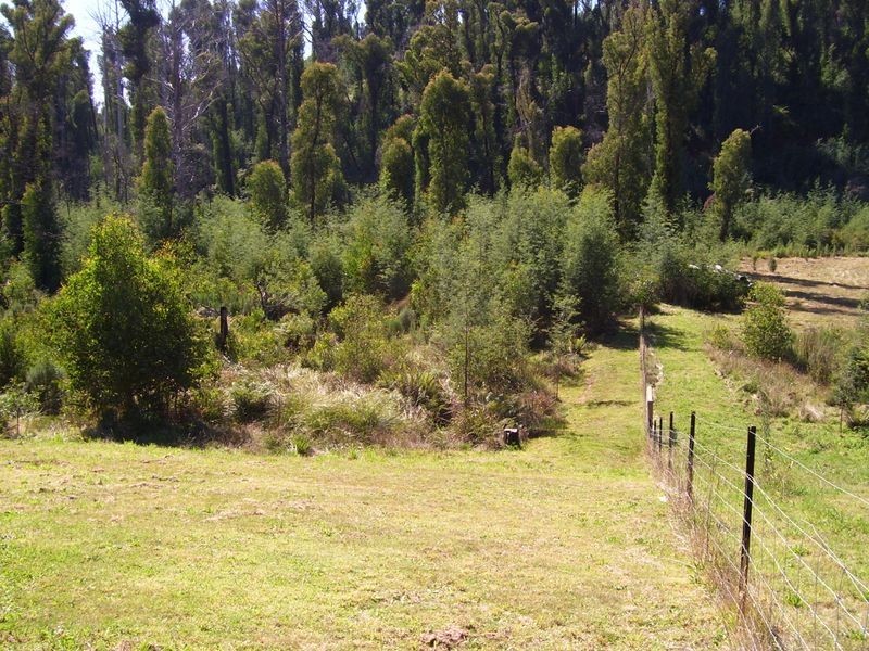 67 Falls Road, Marysville VIC 3779
