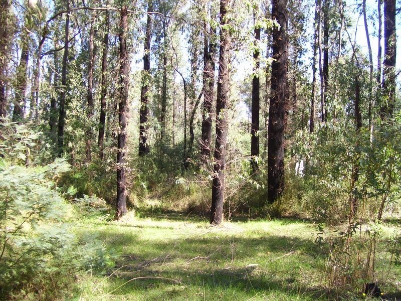 27 Lever Street, Narbethong VIC 3778