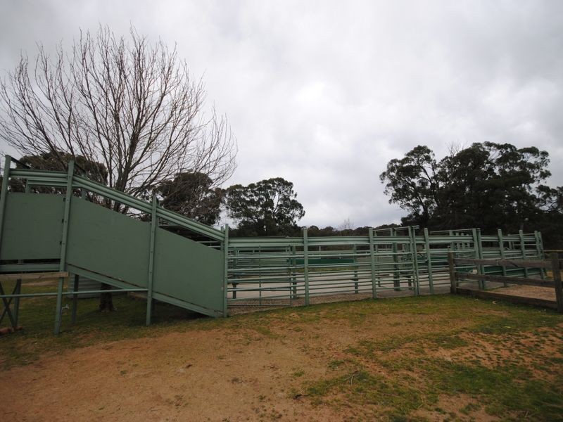 231 McKenzie Road, Terip Terip VIC 3719