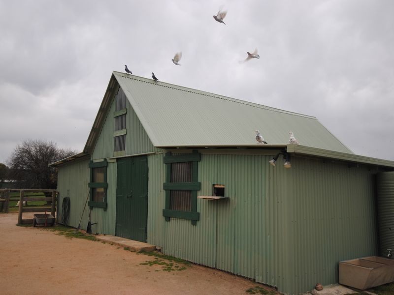 231 McKenzie Road, Terip Terip VIC 3719