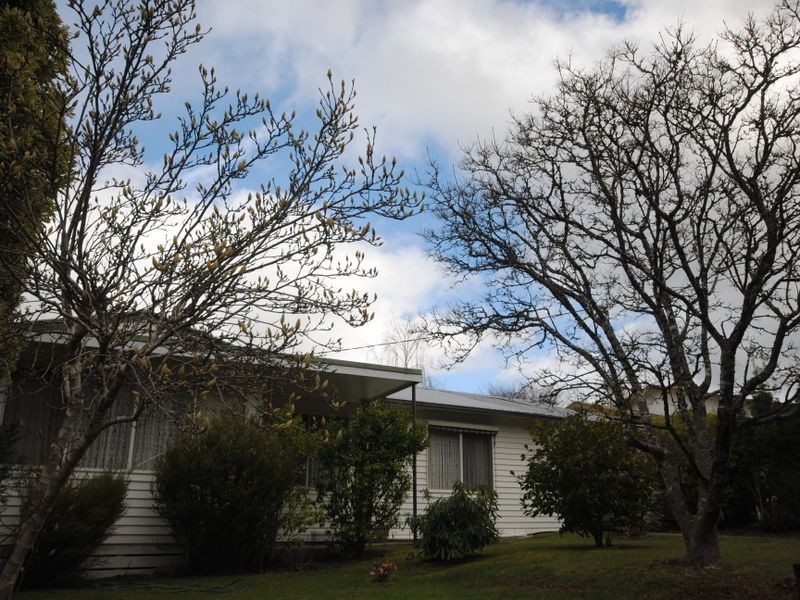 3 East Crescent, Eildon VIC 3713