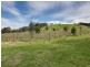 566 Crystal Creek Road, Alexandra VIC 3714