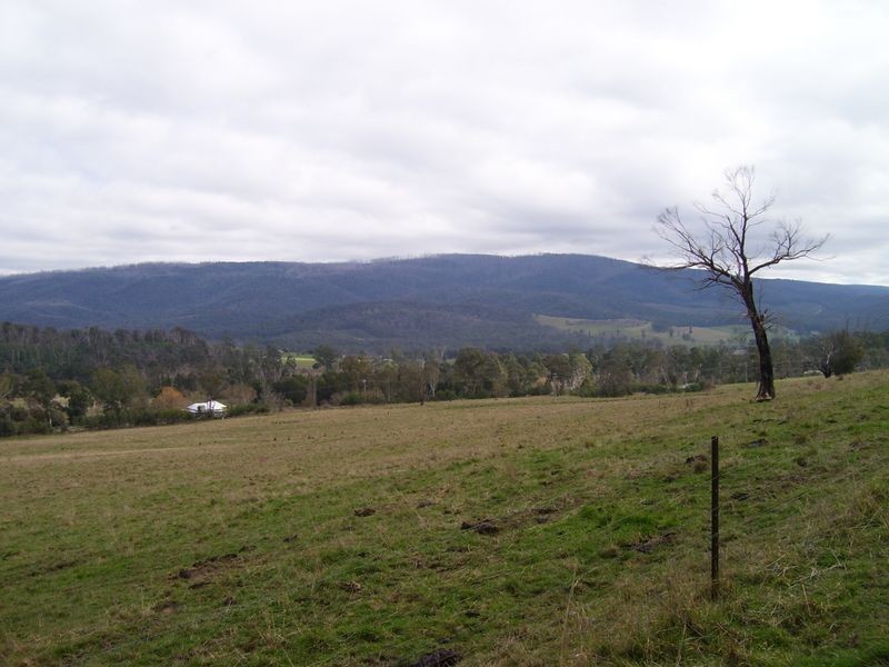 247 Buxton – Marysville Road, Buxton VIC 3711