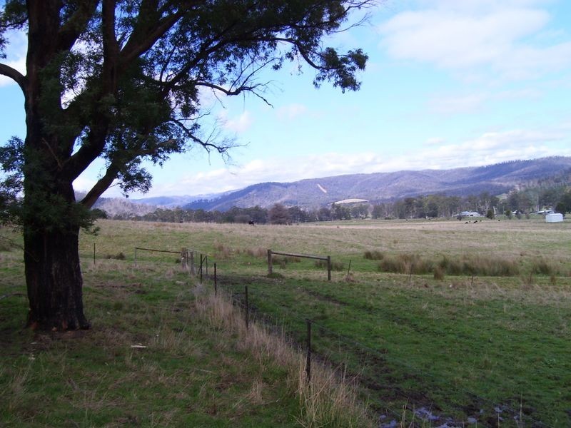 247 Buxton – Marysville Road, Buxton VIC 3711