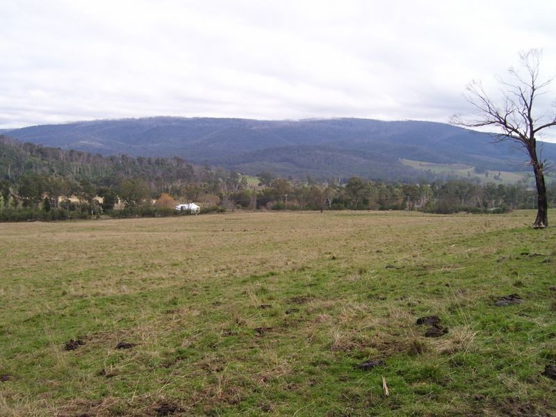 247 Buxton – Marysville Road, Buxton VIC 3711