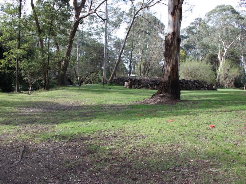 9 Ballina Court, Buxton VIC 3711