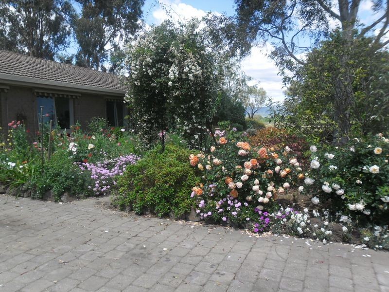 78 Crusoe Lane, Alexandra VIC 3714