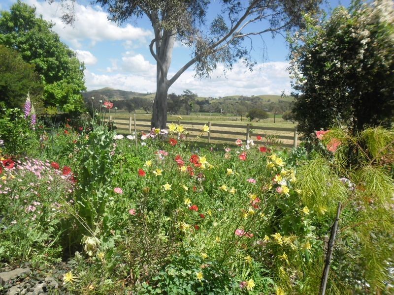 78 Crusoe Lane, Alexandra VIC 3714