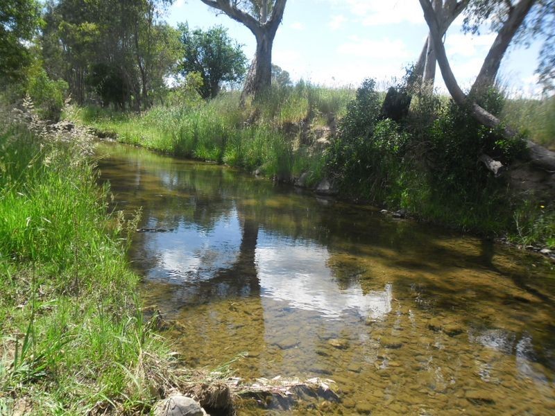 78 Crusoe Lane, Alexandra VIC 3714