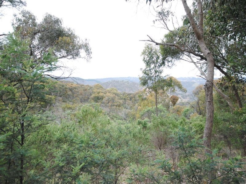 49 Clarries Track, Acheron VIC 3714