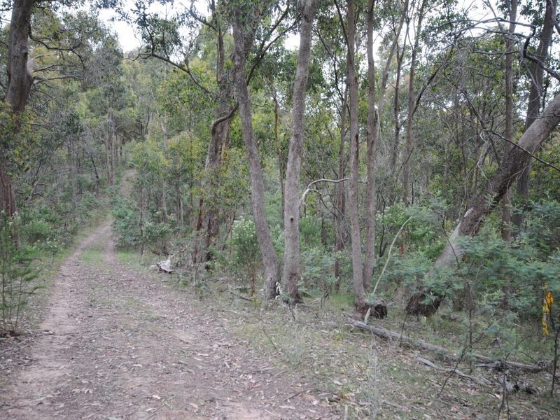 49 Clarries Track, Acheron VIC 3714