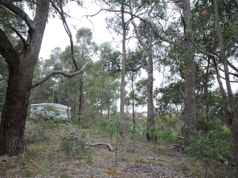 49 Clarries Track, Acheron VIC 3714