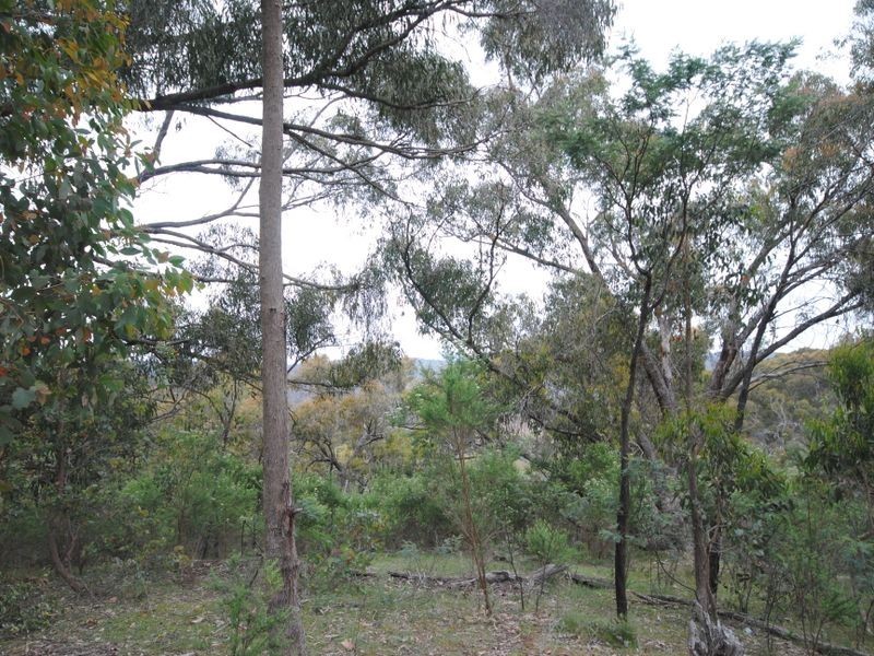 49 Clarries Track, Acheron VIC 3714